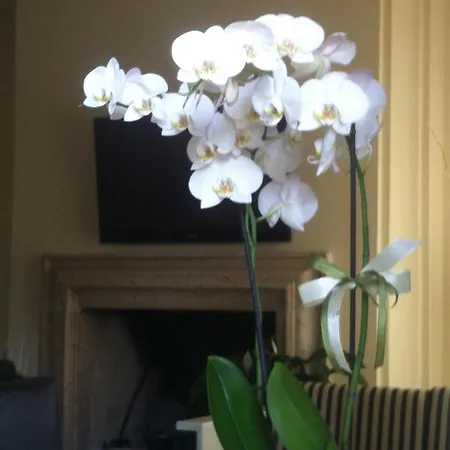 Hotel Romeo 3*